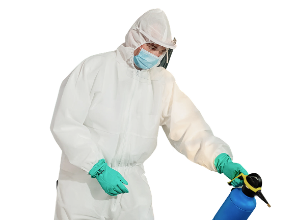 Disinfection